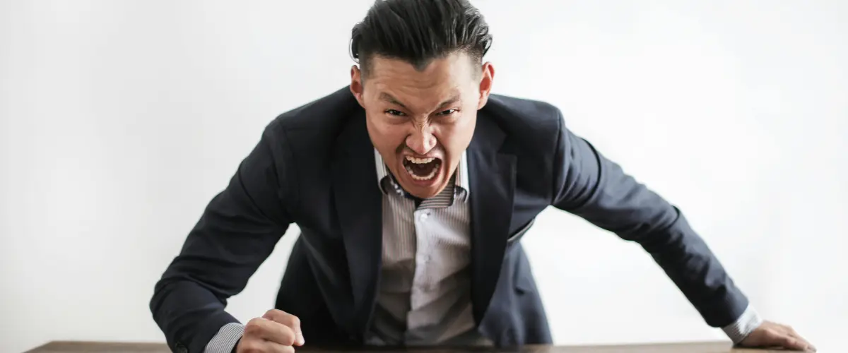 Imagem do artigo: Ataques de Raiva