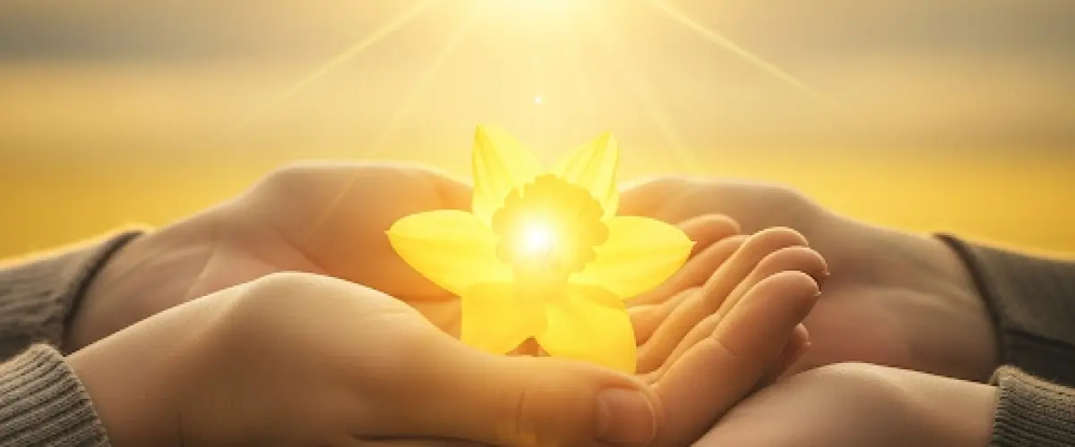 Imagem do artigo: Uma análise baseada em evidências dos fatores relacionados ao suicídio